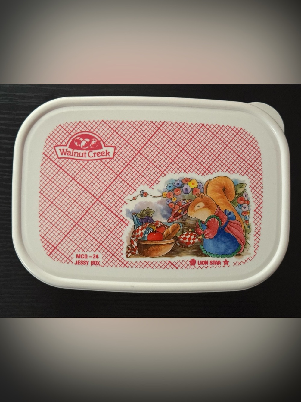 White & Red Jessy Box Food Storage Container